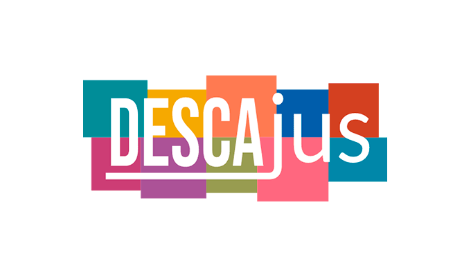 REDESCA en Argentina: Derechos humanos, crisis climática y transición energética.